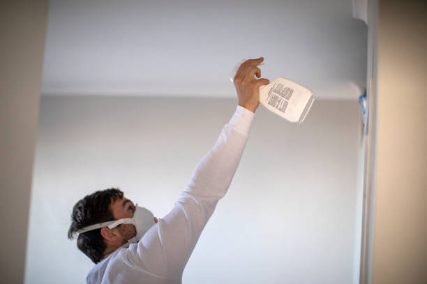 Best Mold Testing and Removal  in Mcdonough, GA