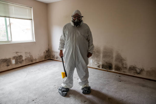 Mold Removal Process in Mcdonough, GA