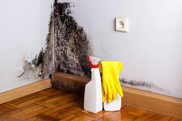Best Emergency Mold Removal  in Mcdonough, GA