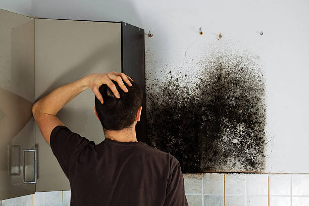 Home Mold Removal in Mcdonough, GA