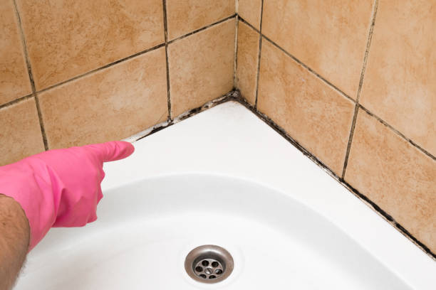 Best Mold Damage Repair  in Mcdonough, GA